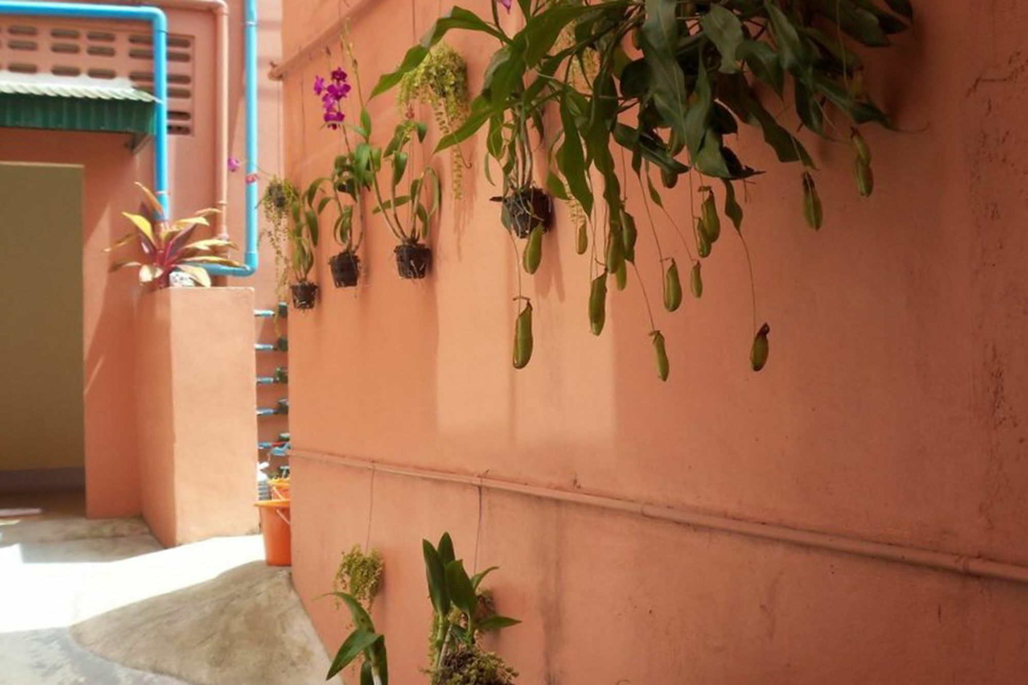 D'S Corner & Guesthouse Phuket Εξωτερικό φωτογραφία